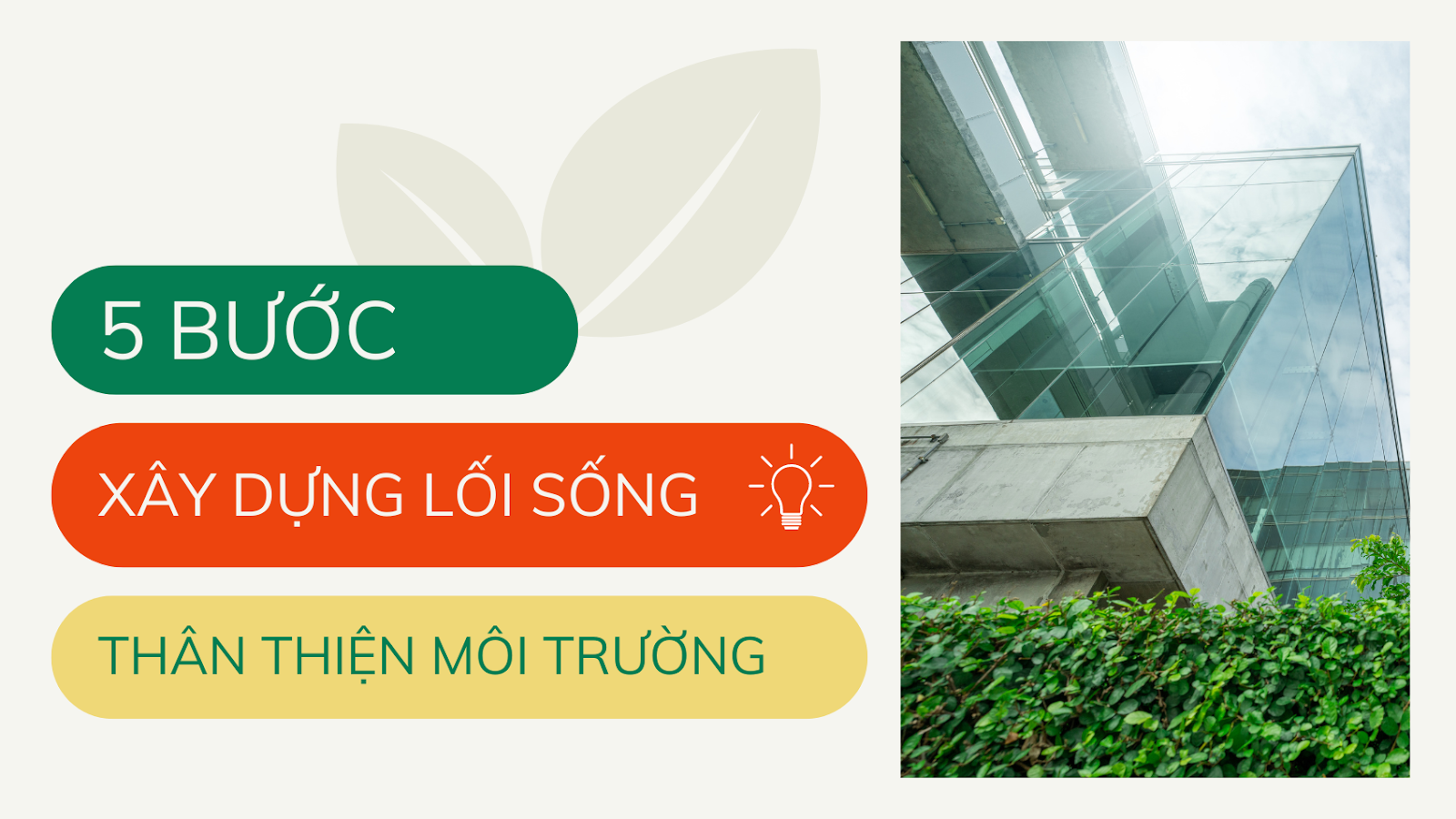 5 Bước Đơn Giản Để Xây Dựng Lối Sống Thân Thiện Với Môi Trường Tại Doanh Nghiệp.